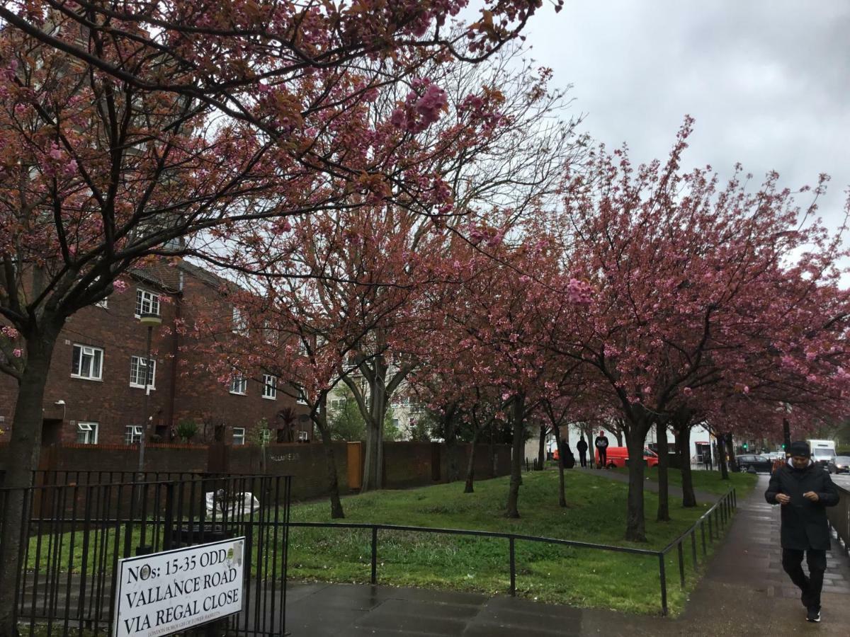 Al Iram Guest house London