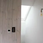 Large, modern, light, open plan designer house
