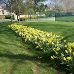 Glorious View Over The Park