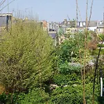 Glorious View Over The Park