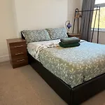 Double Cozy Room