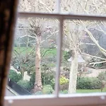 Blackbird