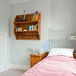 3 Bedroom Family House With A Superb Kitchen And Garden