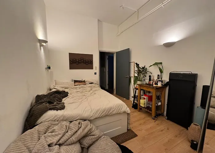 Cosy Private Room With Shared Bathroom Facilities
