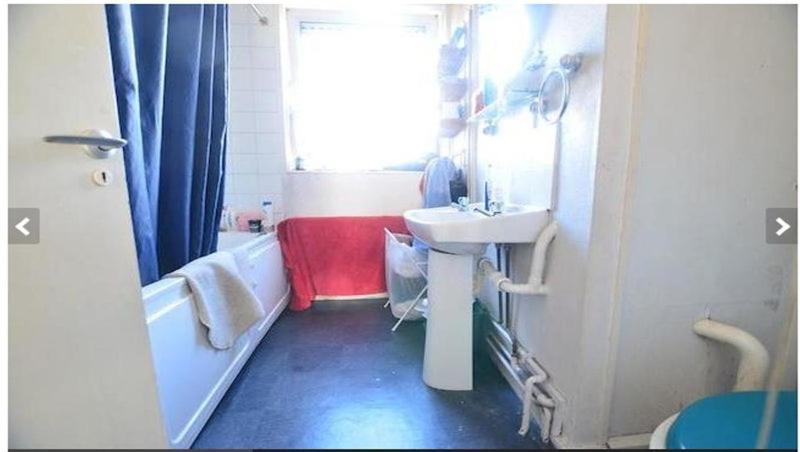 Accommodatie bij particulieren Creative Flatshare