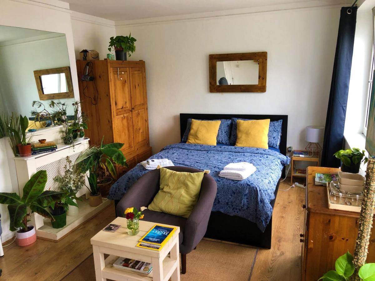 Burgess Park Homes - Near Central Homestay *