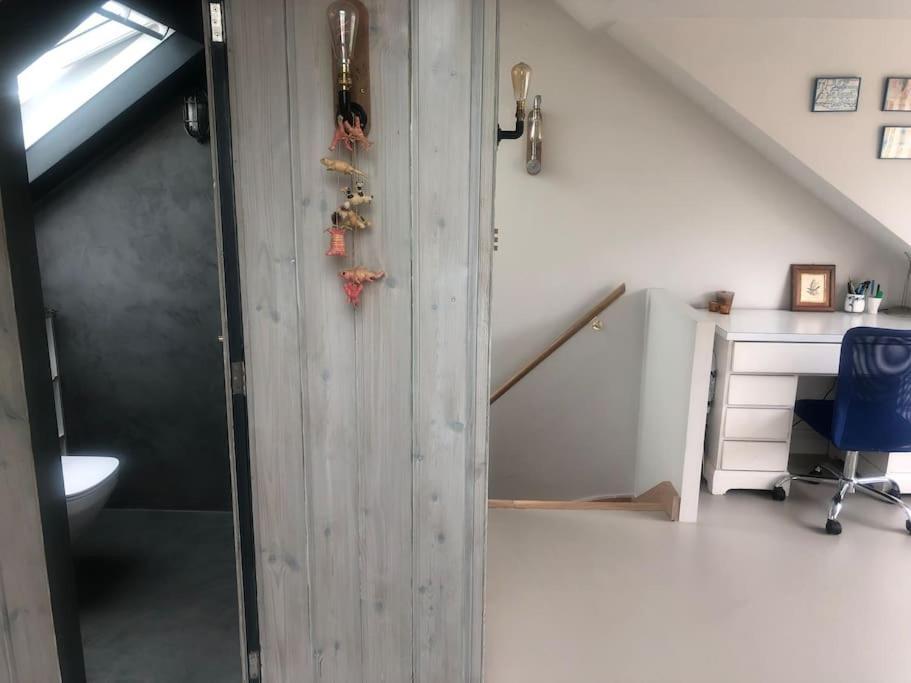 Large, Modern, Light, Open Plan Designer House *