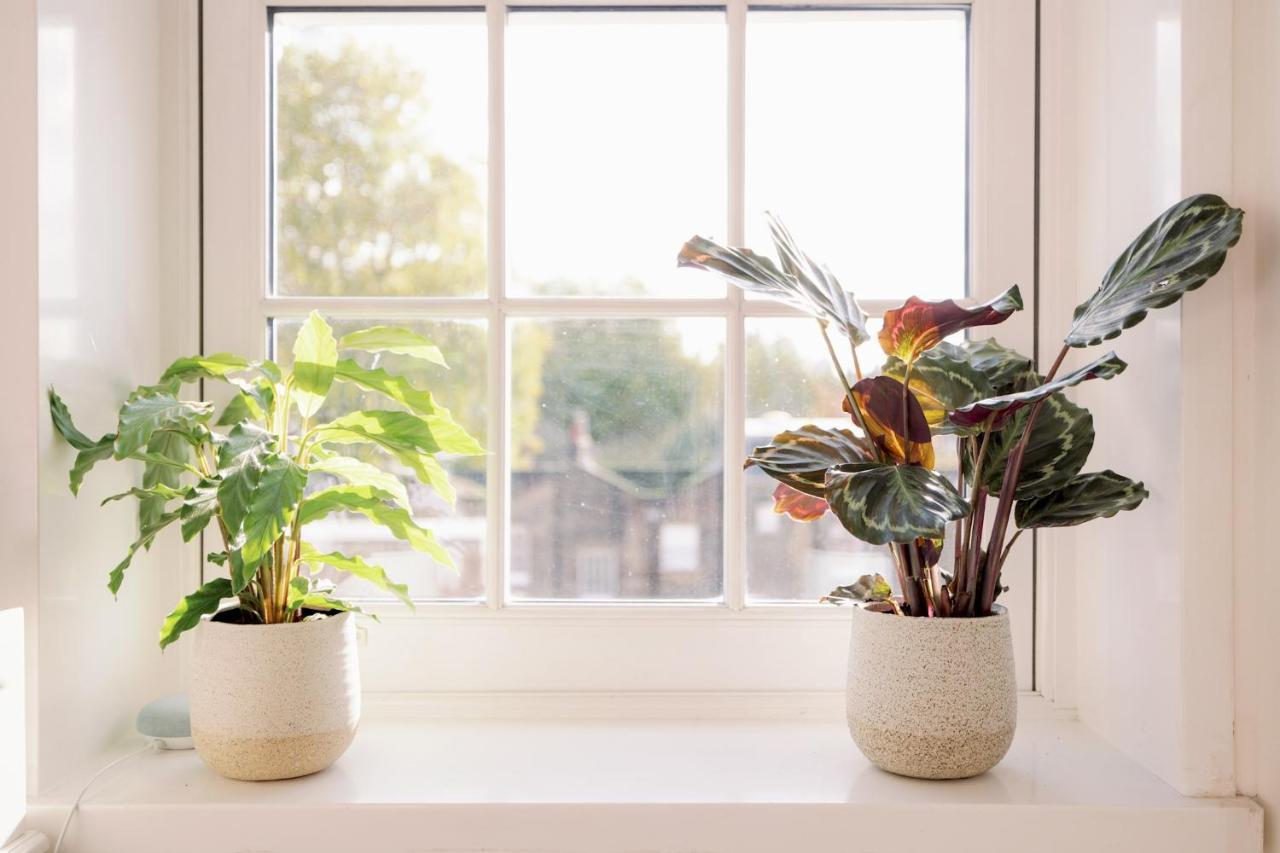Apartment Pass The Keys Stylish In The Heart Of Clerkenwell *