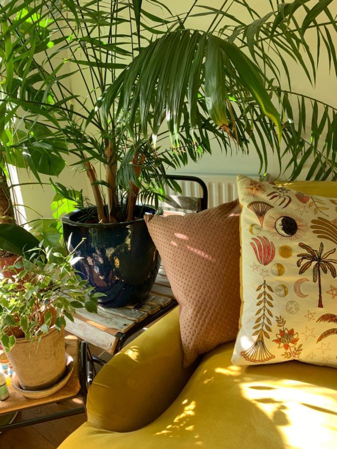 Apartment Artist In Islington, Shoreditch, Old St