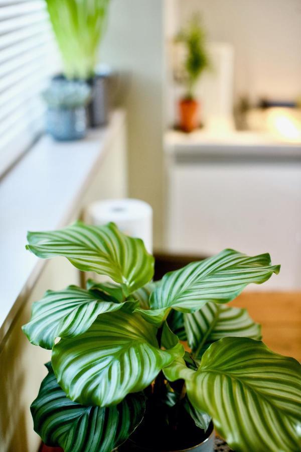 Zen Life With Urban Views - E8 Chic