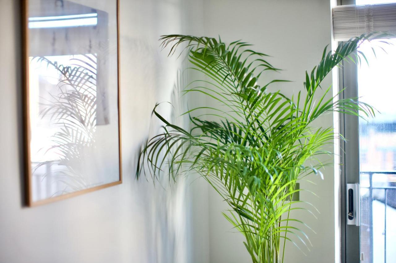 Apartamento Zen Life With Urban Views - E8 Chic *
