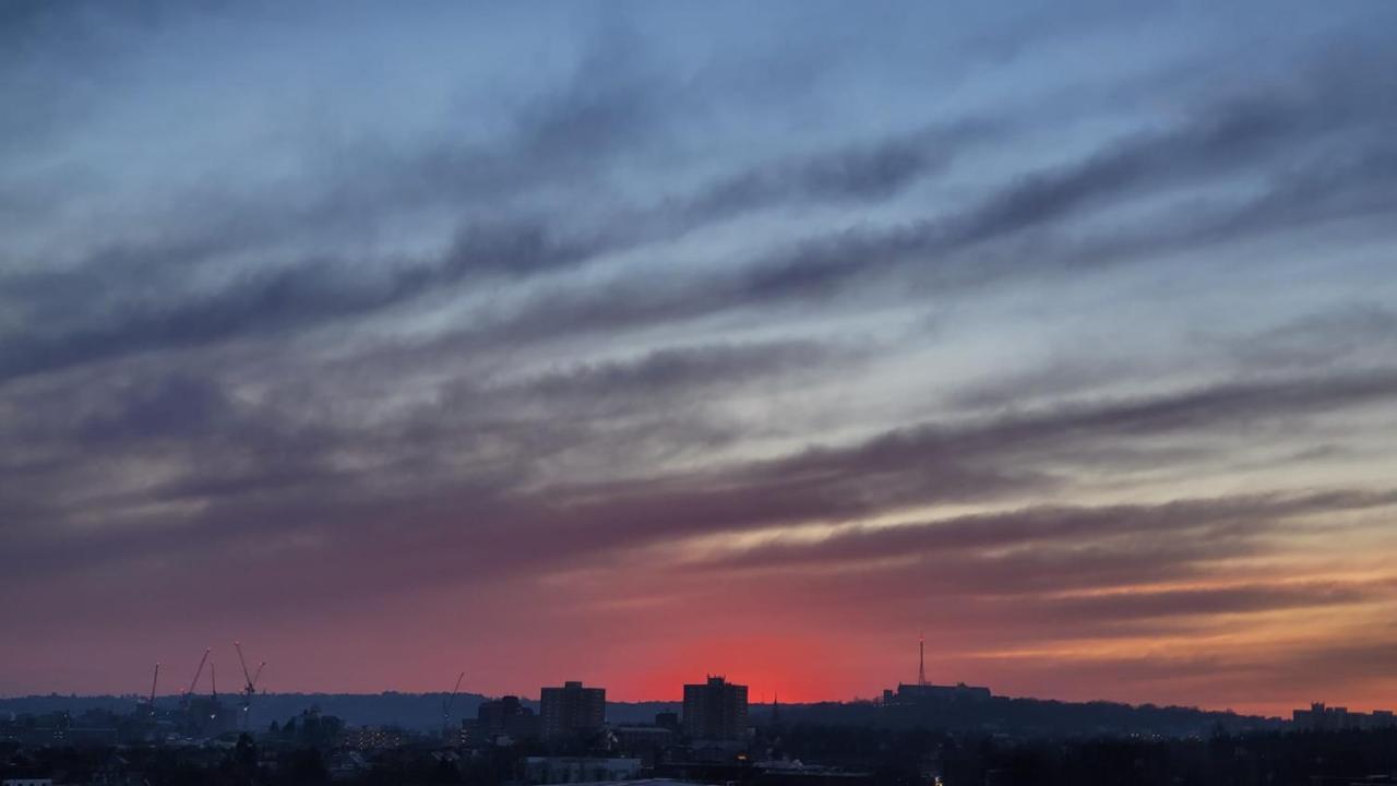 Sunny Luxury Skyline Flat Near Alexandra Palace, Tottenham Stadium & Drumsheds