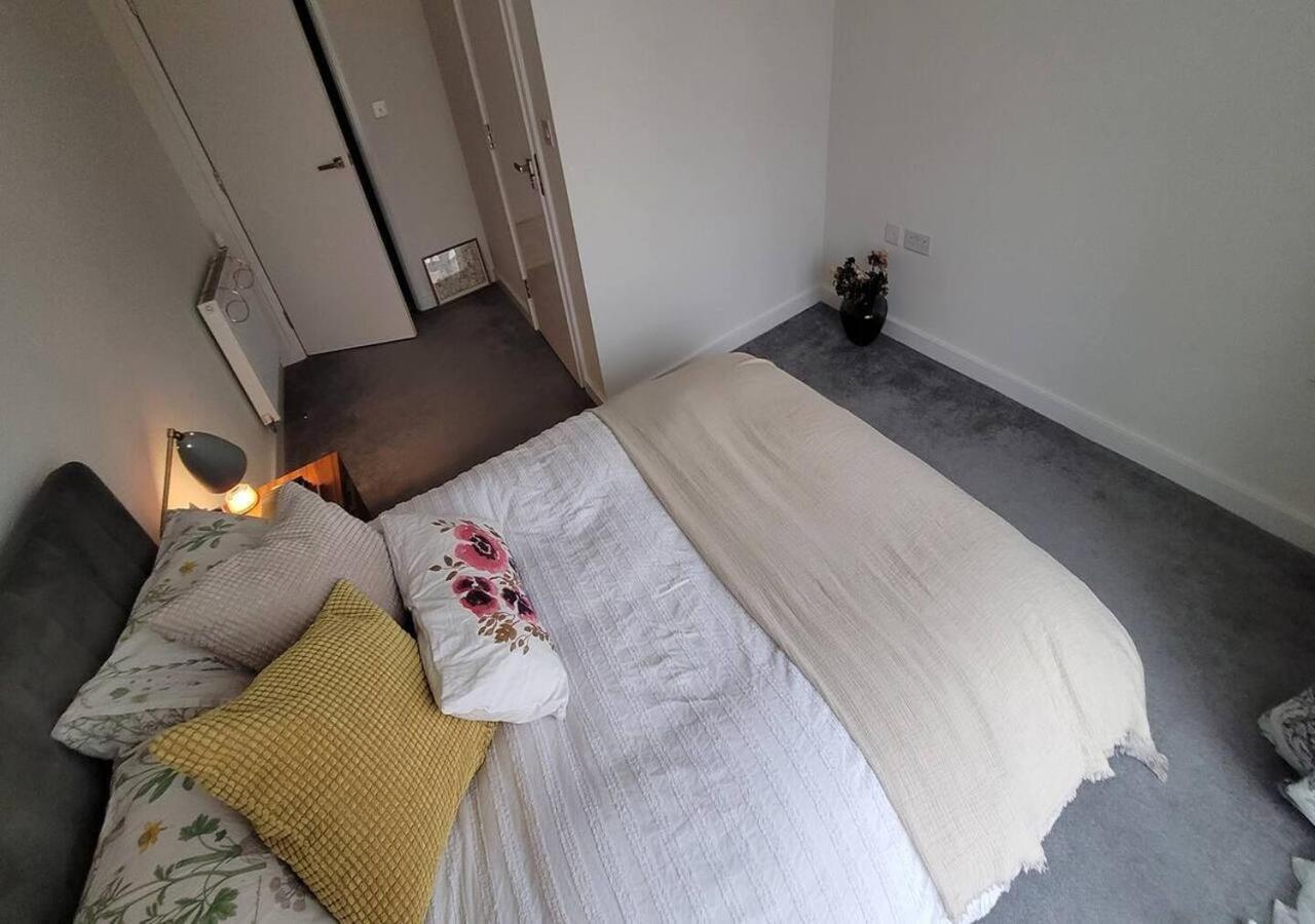 Sunny Luxury Skyline Flat Near Alexandra Palace, Tottenham Stadium & Drumsheds