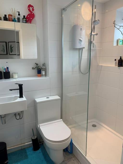 Lovely 1 Bedroom Flat In Zone 1/2 Apartment
