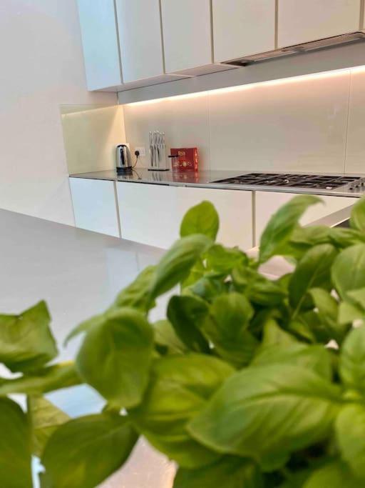Ferienhaus Stunning 4 Bed Mews House With Patio