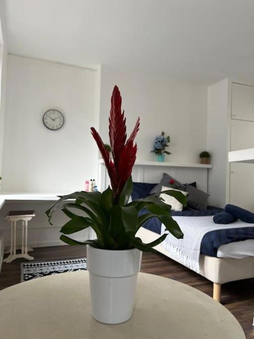 Glasshouse Yard Studio's F1 Appartement