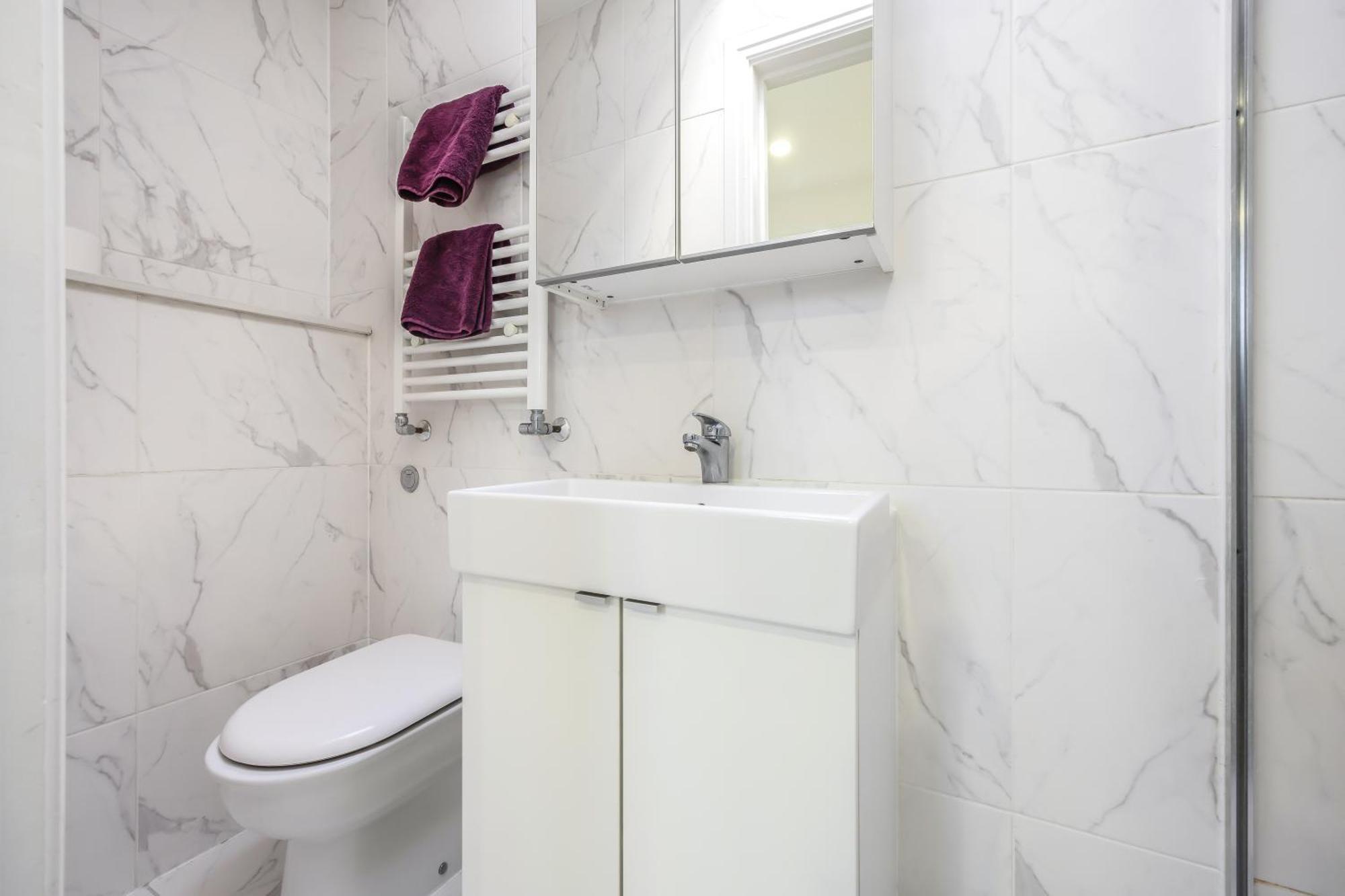Appartement Spacious Near Hammersmith Staion Londen
