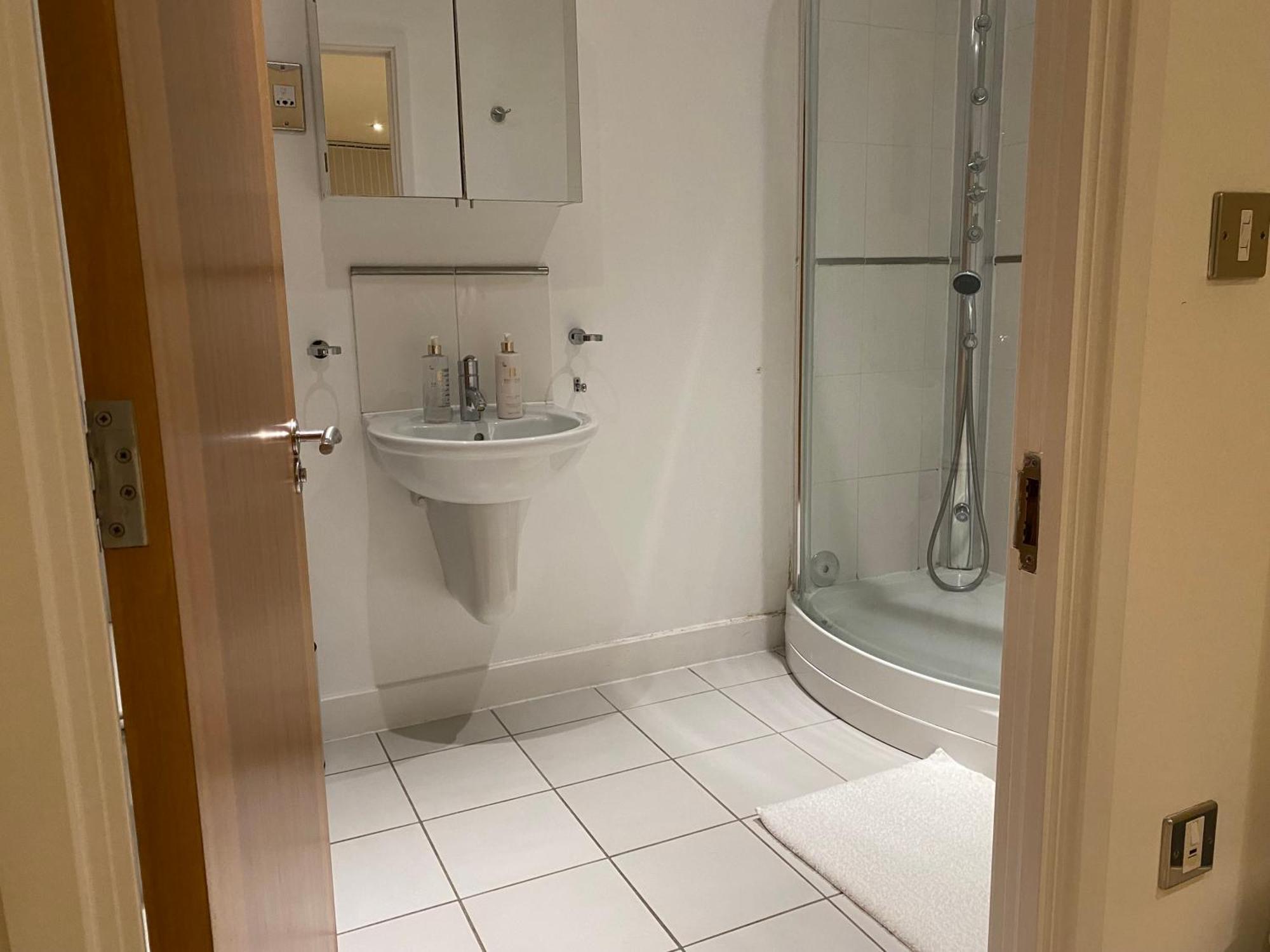 Apartment Royal Docks Penthouse