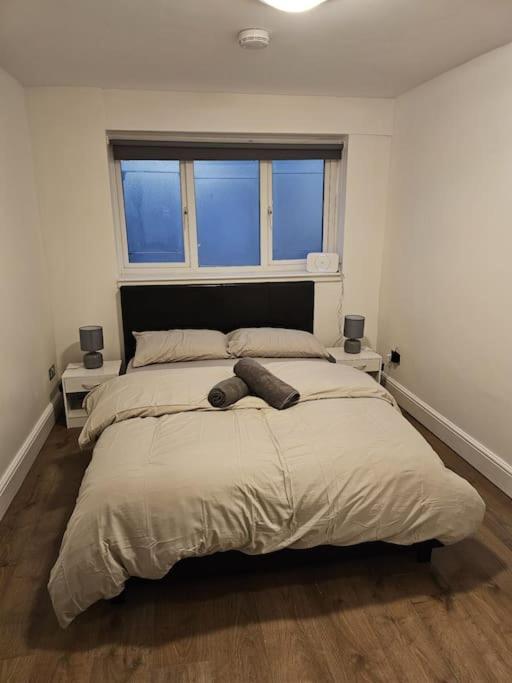 Beautiful Garden Flat Near Apartment London