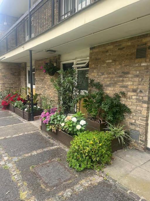 Beautiful 1 Bedroom House With Garden Apartamento Londres