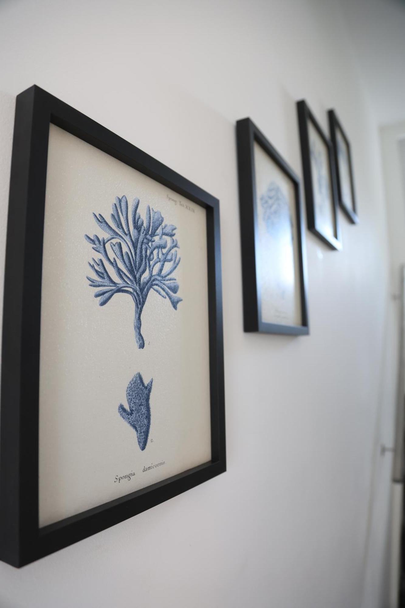 Kentish Town Hideaway Apartment