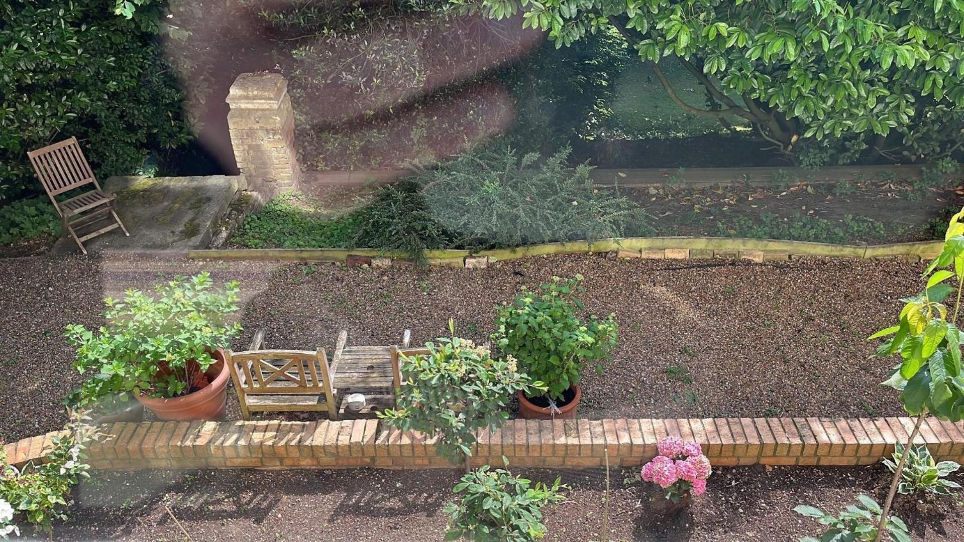 In Einer Mit Herrlichem Garten Und Katze London