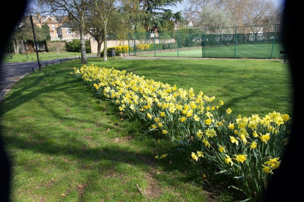 Glorious View Over The Park Apartment London