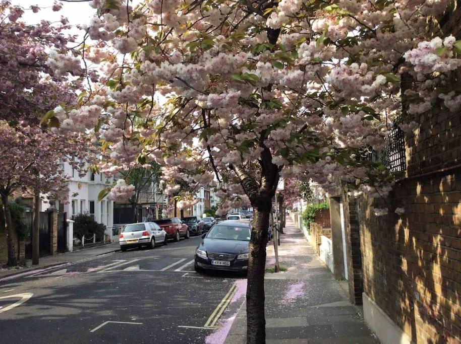 Glorious View Over The Park * London