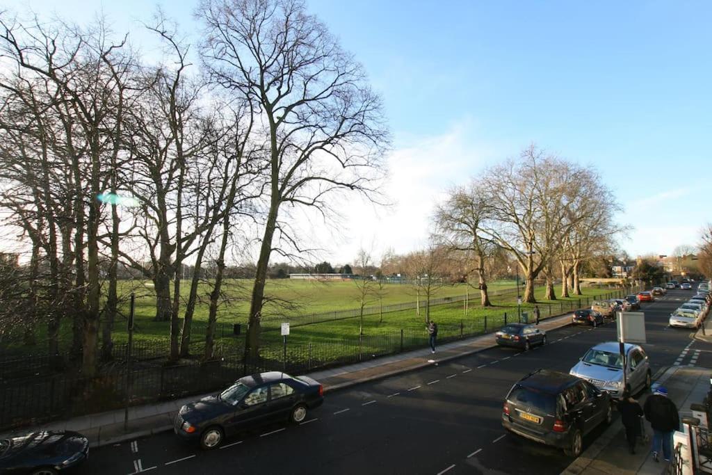 Glorious View Over The Park *
