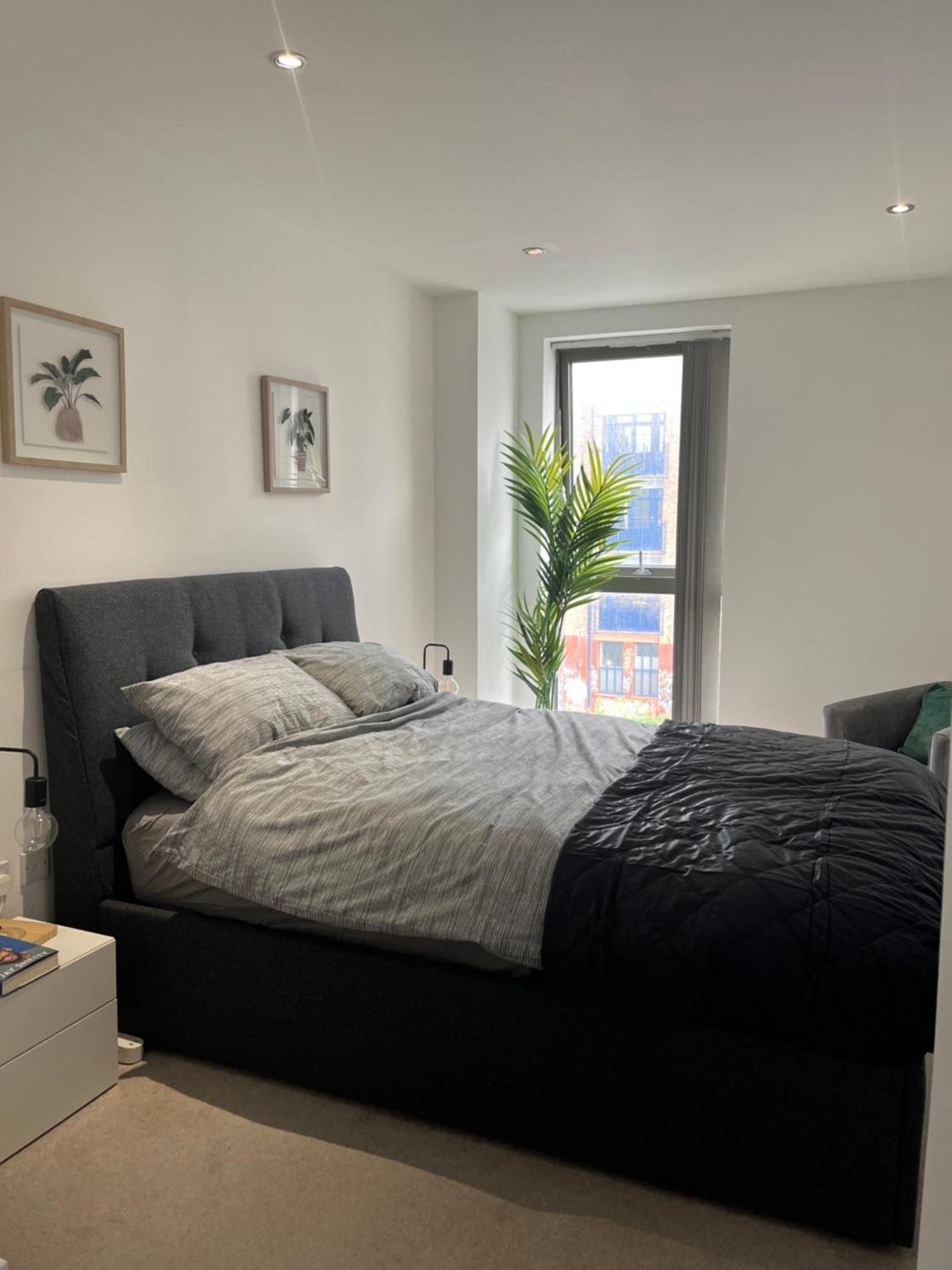 Modern Cozy 1 Bedroom Apartment
