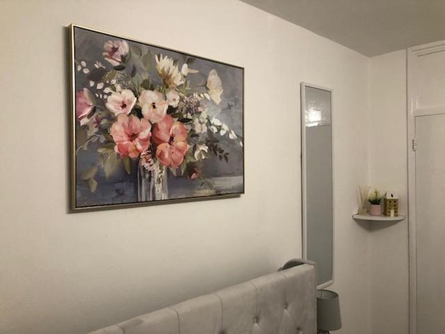 1 Bed-park View-balcony-wifi-pet Friendly Appartement