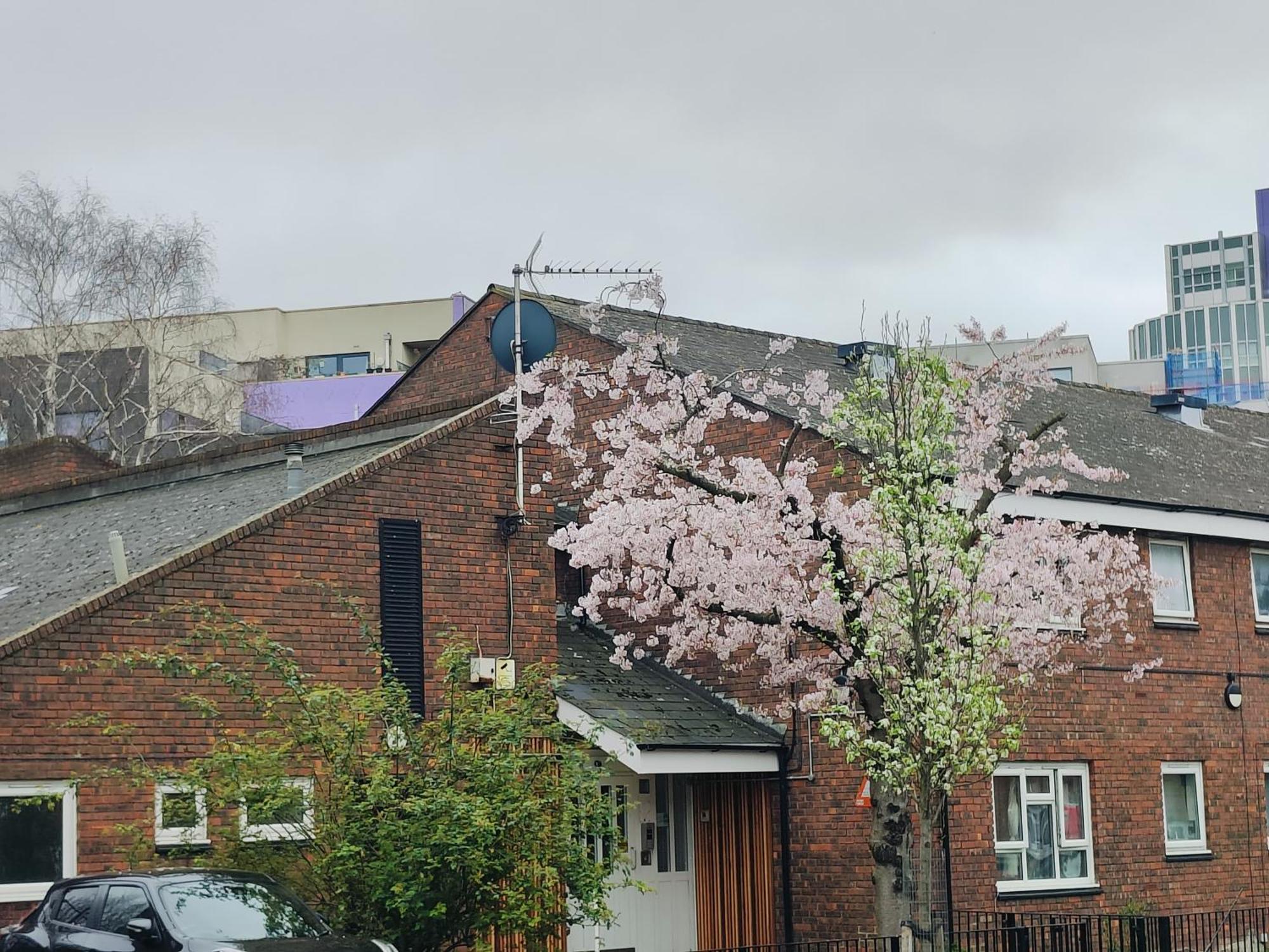 Clifton House O2 & Excel With Private Bathroom And Breakfast Option Bed and breakfast