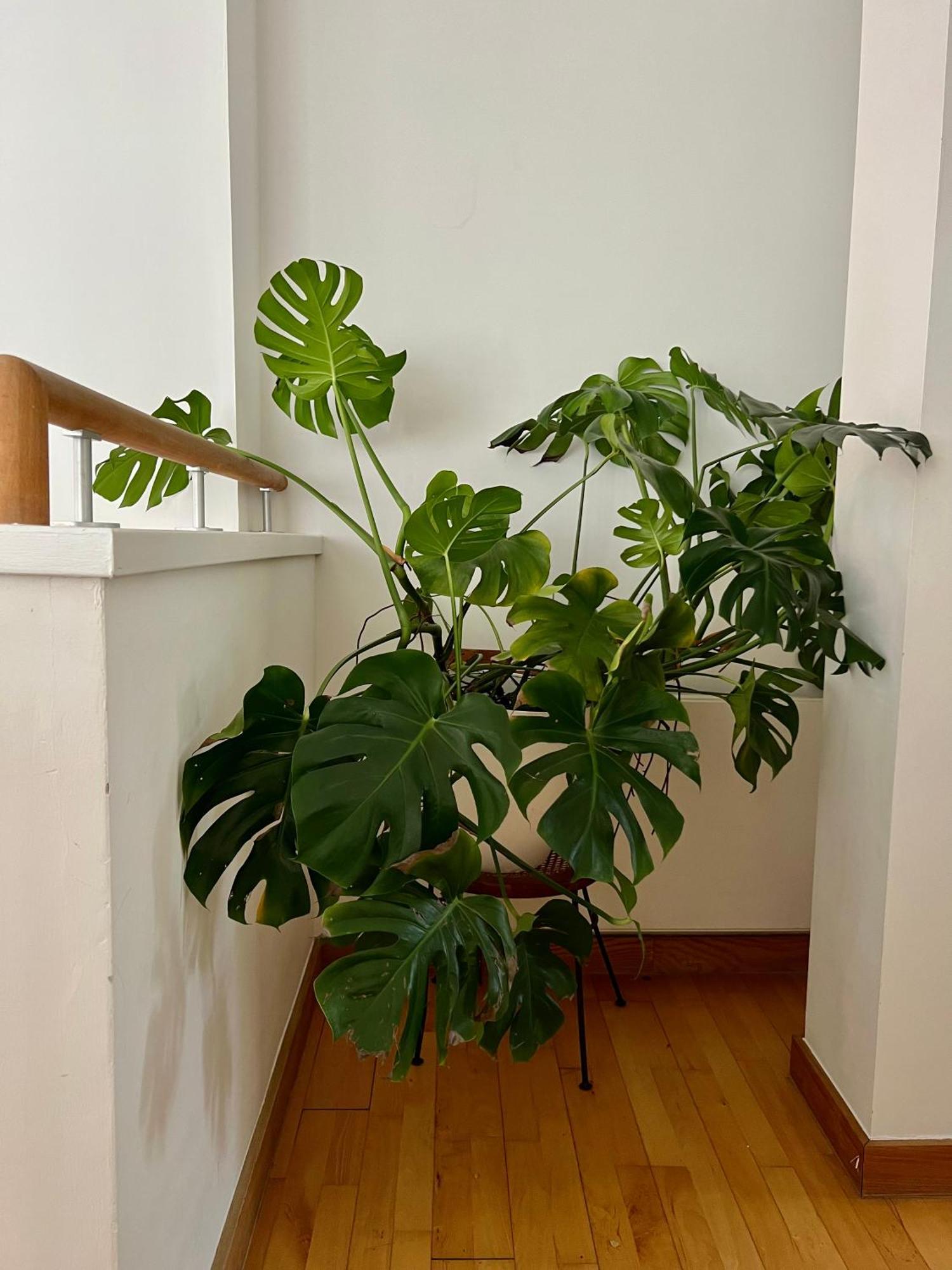 Guest house Creative Oasis In The Heart Of