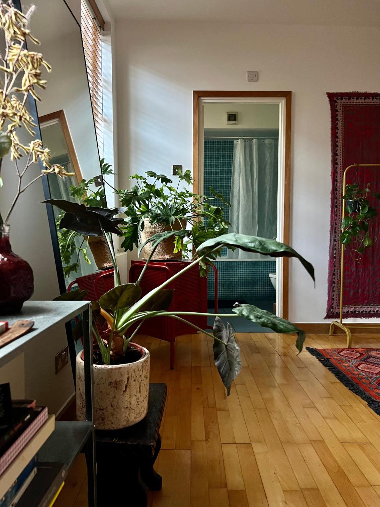 Guest house Creative Oasis In The Heart Of *