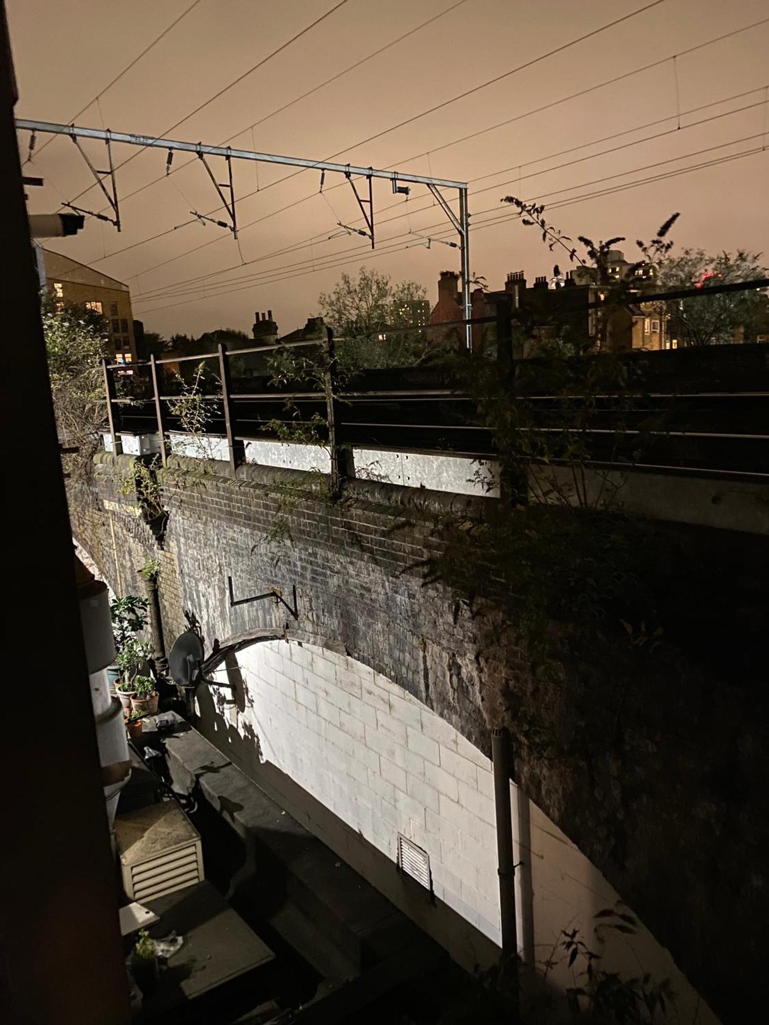 Privet Near Cambridge Heath Station London