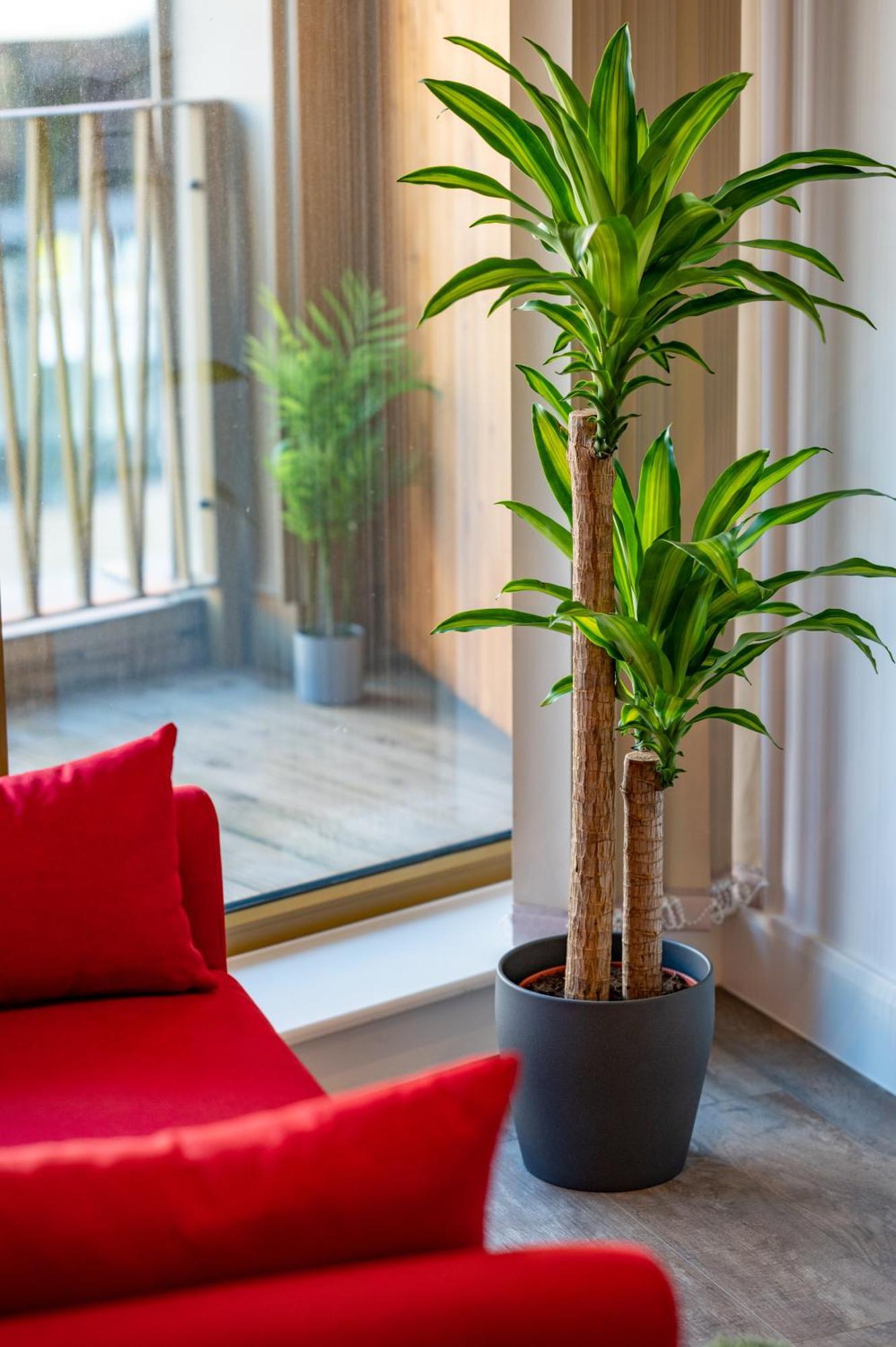 Luxe Retreat 5 * Londen