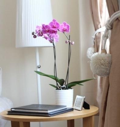 Kings Cross In Central Appartement *