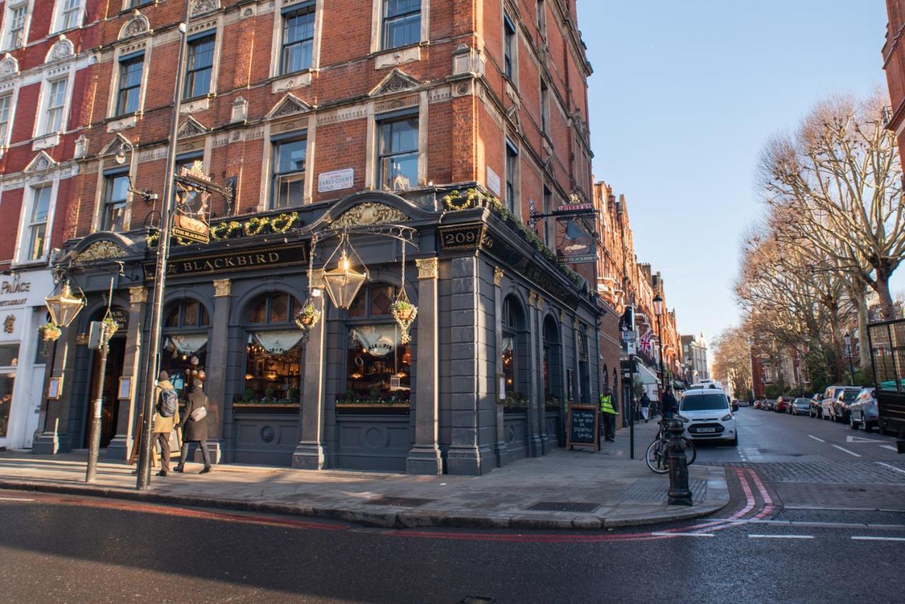 Hotel Blackbird 4*
