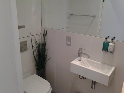 Room Home Stay Aparthotel